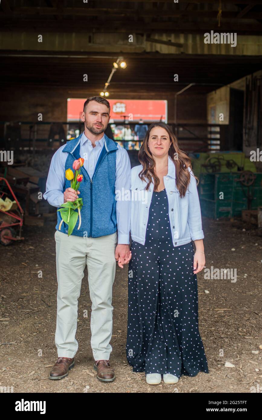 IMPEGNATO IN UNA FATTORIA DI TULIPANI Foto Stock