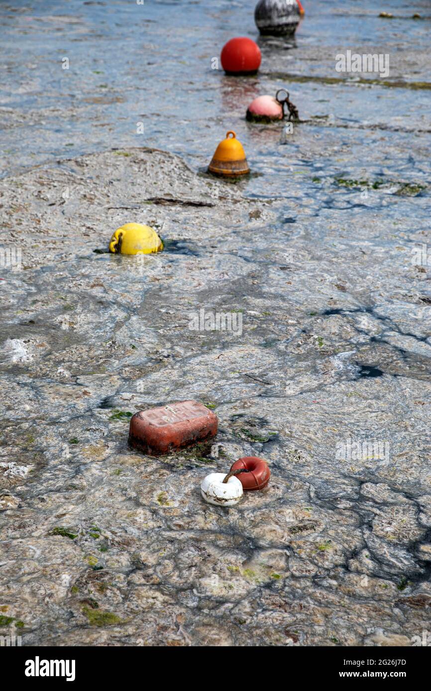 Istanbul, Turchia. 8 giugno 2021. Superficie completamente coperta del mare durante l'iniziativa di pulizia delle mucillagini da parte delle autorità del Mar di Marmara sulla costa caddebostana di Istanbul. Una delle cause di mucillagini nel Mare di Marmara è il riscaldamento globale e l'inquinamento ambientale ed è un organismo monocellito. Il suo pericolo in termini di diversità di vita è in aumento, si attacca a coralli e spugne che li causano a morire. Ciò provoca anche la morte dei pesci, che colpisce in tal modo l'industria della pesca. Credit: SOPA Images Limited/Alamy Live News Foto Stock