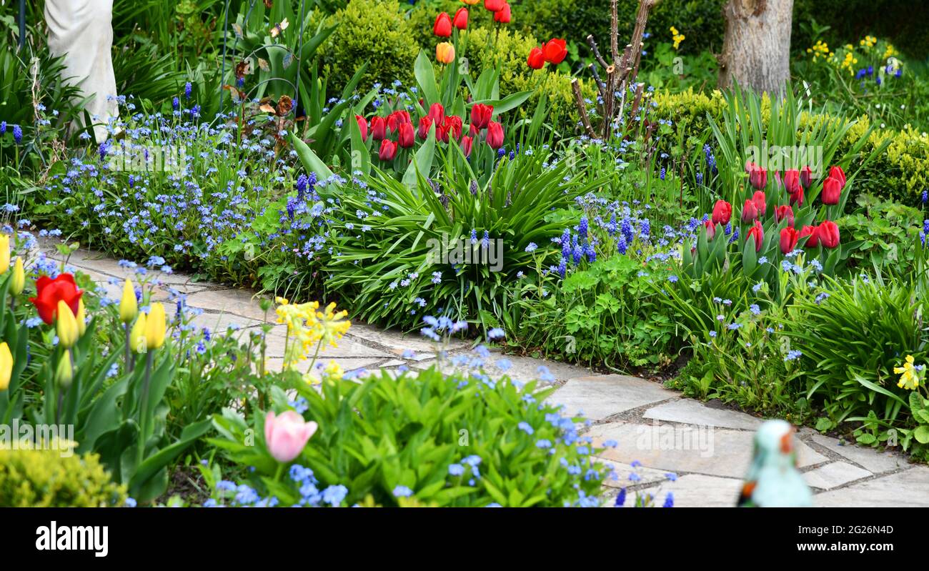 colorato giardino fiorito in primavera Foto Stock