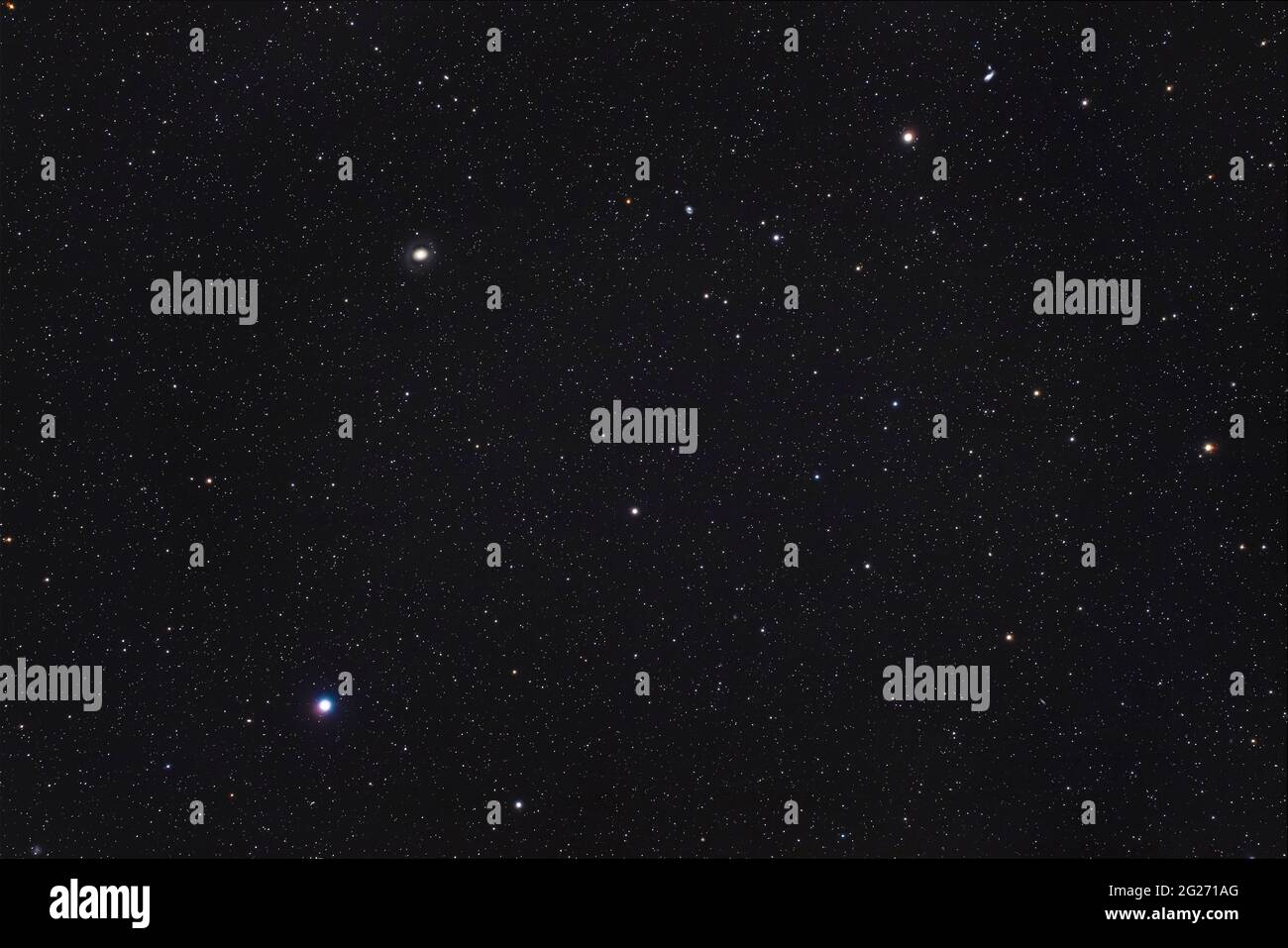 Le stelle Cor Caroli (in basso a sinistra) e Chara (in alto a destra) a Canes Venatici. Foto Stock