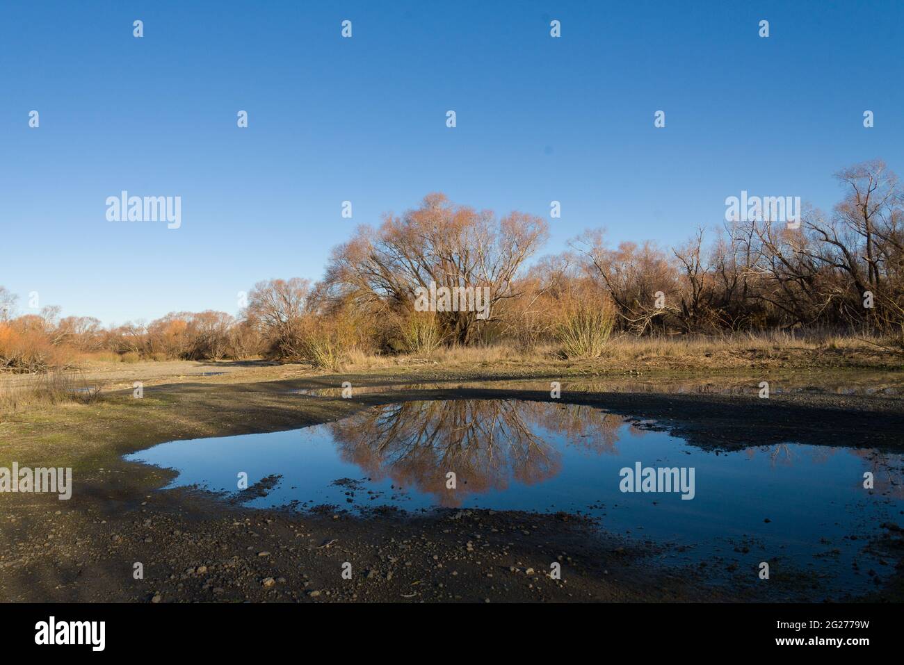 Autunno paesaggio riflessioni Nuova Zelanda Foto Stock