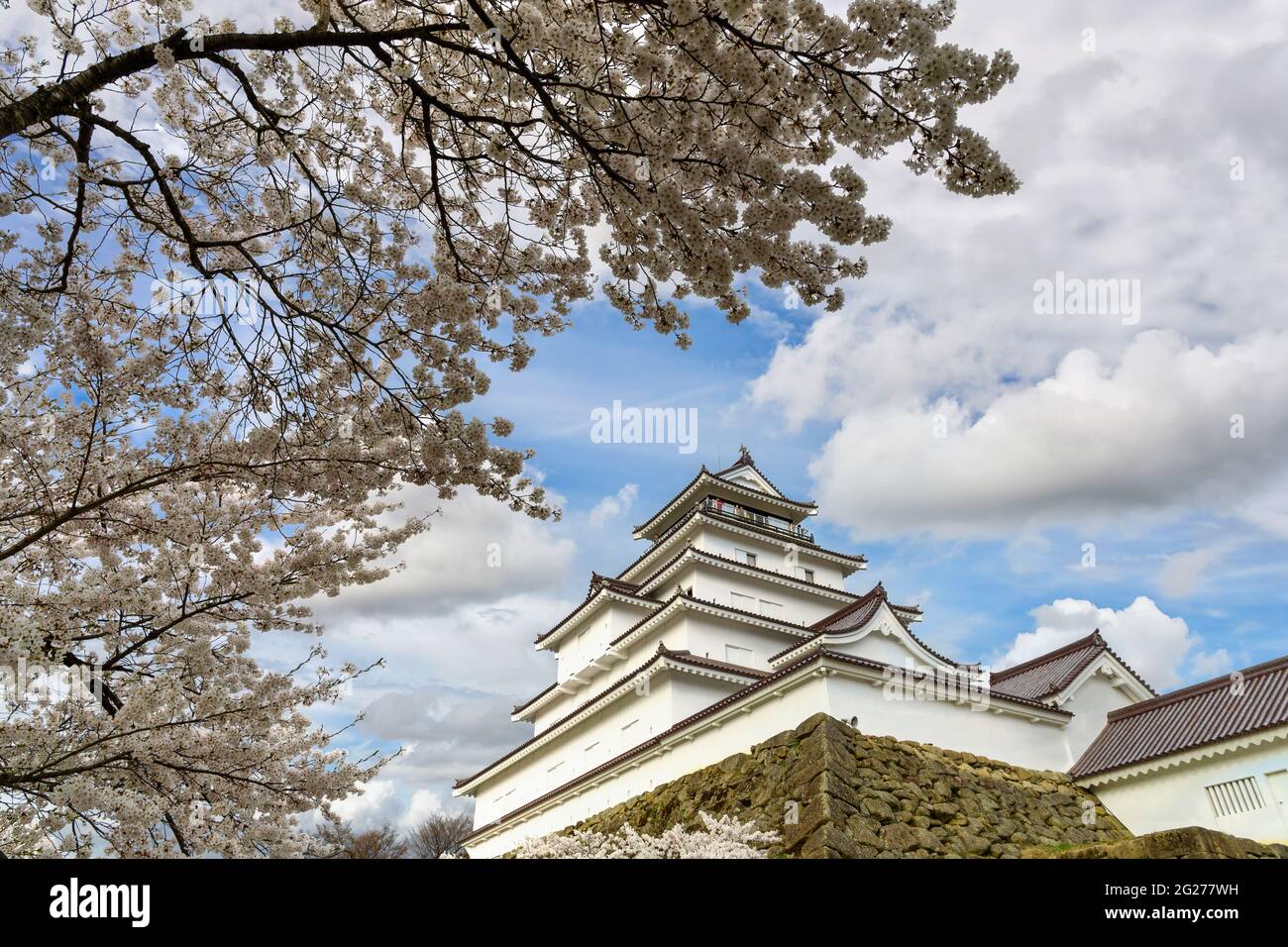 Castello di Tsuruga-jo o castello di Wakamatsu nella città di Aizu-Wakamatsu nella prefettura di Fukushima, Giappone in primavera Saruka fiori in piena fioritura con un molto bello Foto Stock