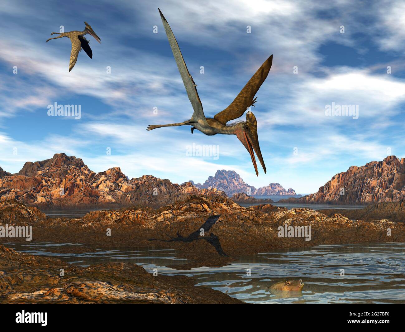 Pterodactylus volare sopra l'acqua alla ricerca di cibo. Foto Stock