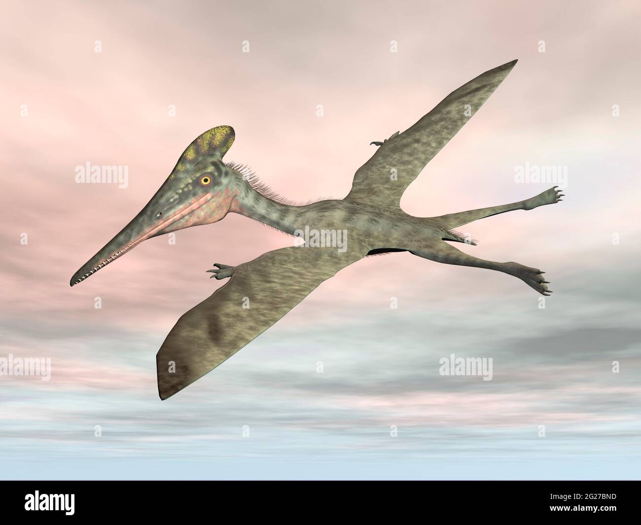 Pterodactylus uccello preistorico che vola nel cielo del tramonto. Foto Stock