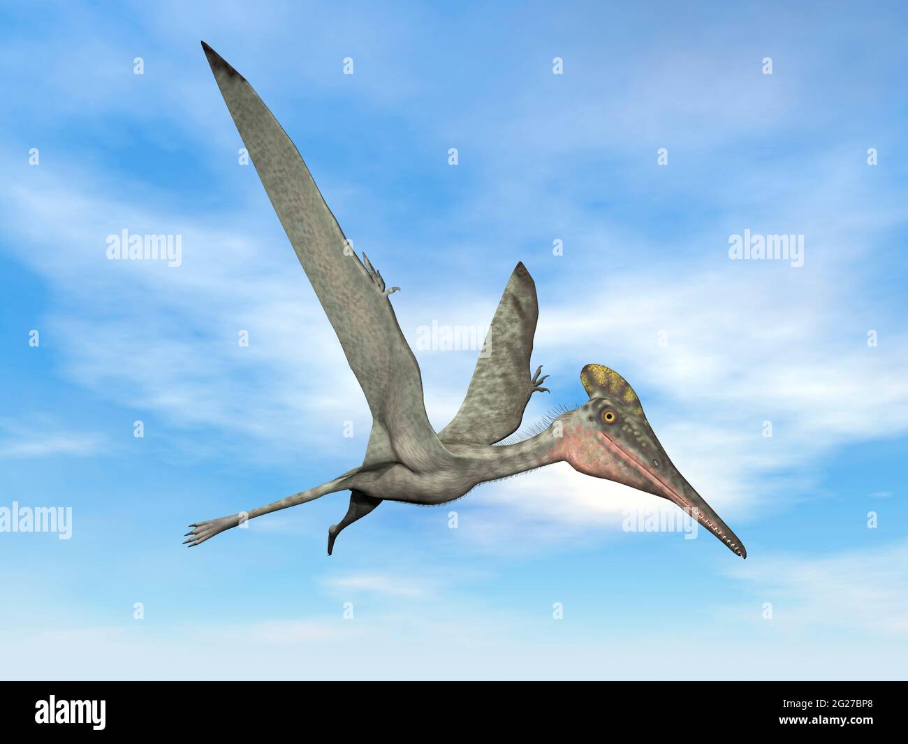 Pterodactylus uccello preistorico che vola nel cielo blu. Foto Stock