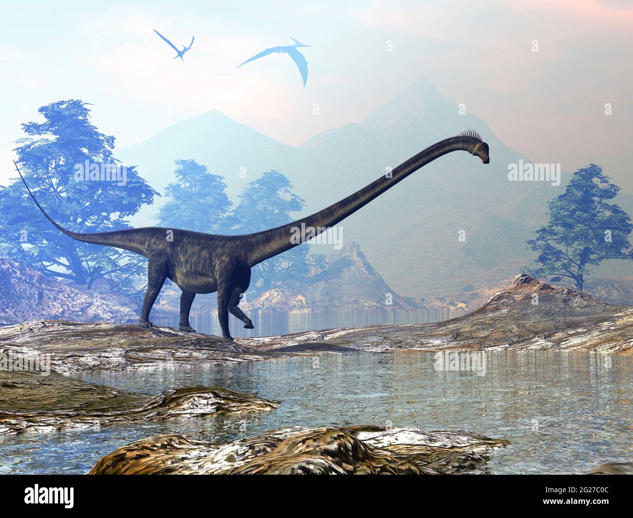 Dinosauro Barosaurus che cammina lungo un buco di irrigazione. Foto Stock