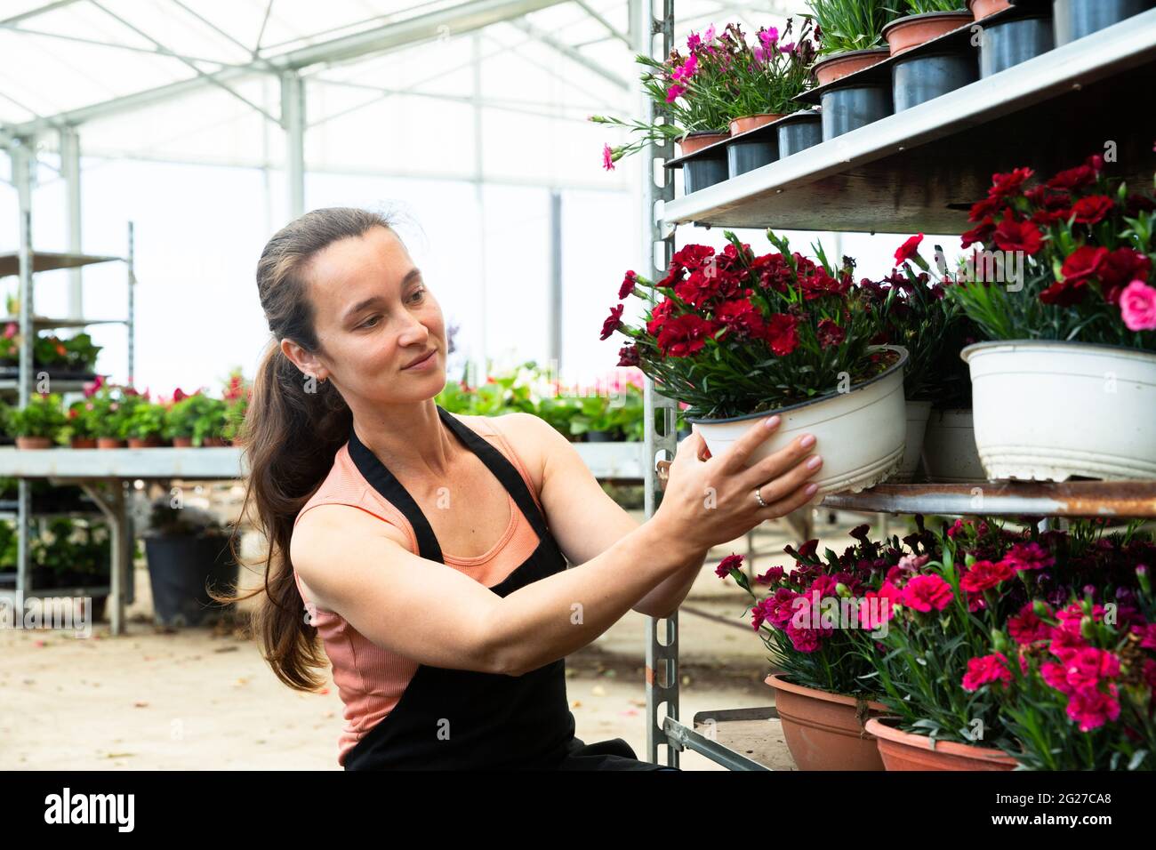 Donna gasshouse negozio lavoratore tenendo fiori da giardino Foto Stock