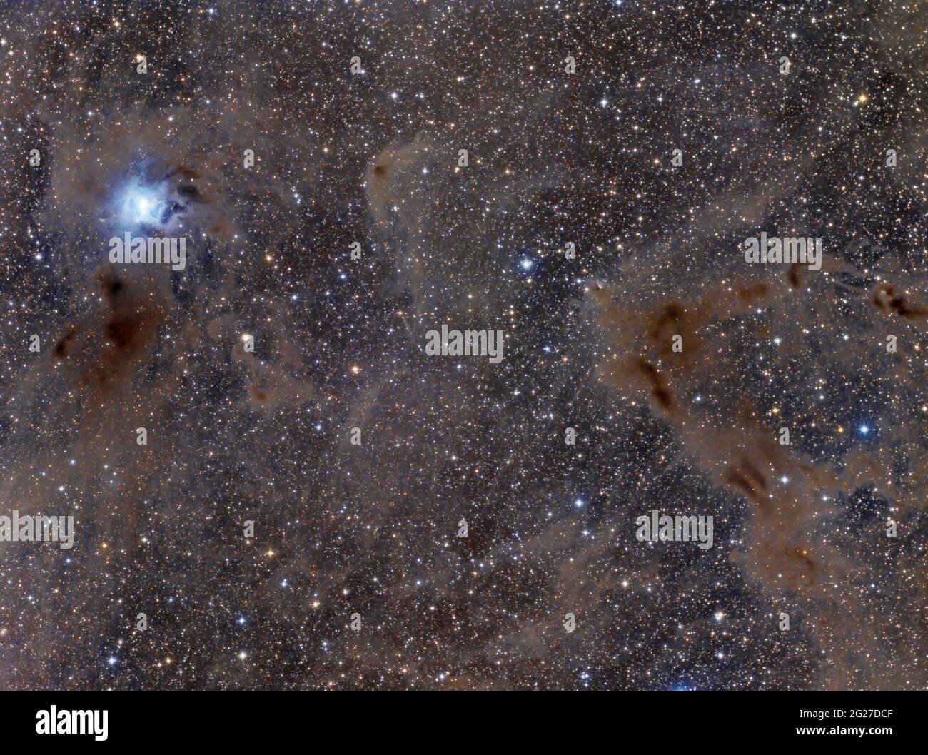 NGC 7023, l'Iris Nebula. Foto Stock