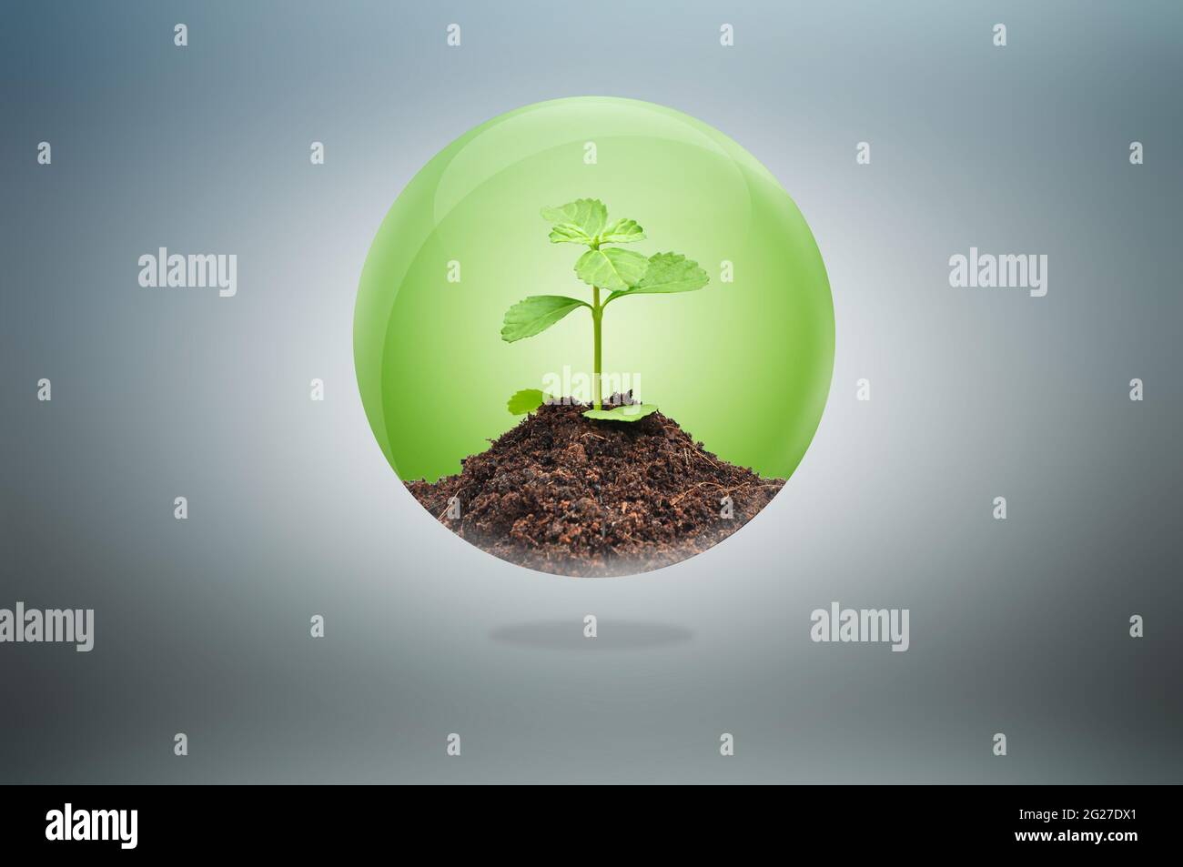 Green seedling con terreno all'interno della palla lucida - sviluppo sostenibile e concetto di conservazione Foto Stock