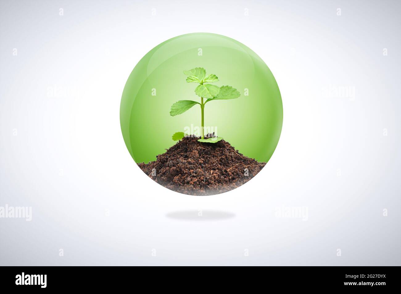 Green seedling con terreno all'interno della palla lucida - sviluppo sostenibile e concetto di conservazione Foto Stock