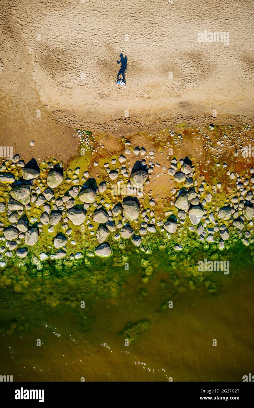 Foto aerea di maschio con enorme ombra sulla riva del Mar Baltico con alghe di mare verdi su pietre Foto Stock