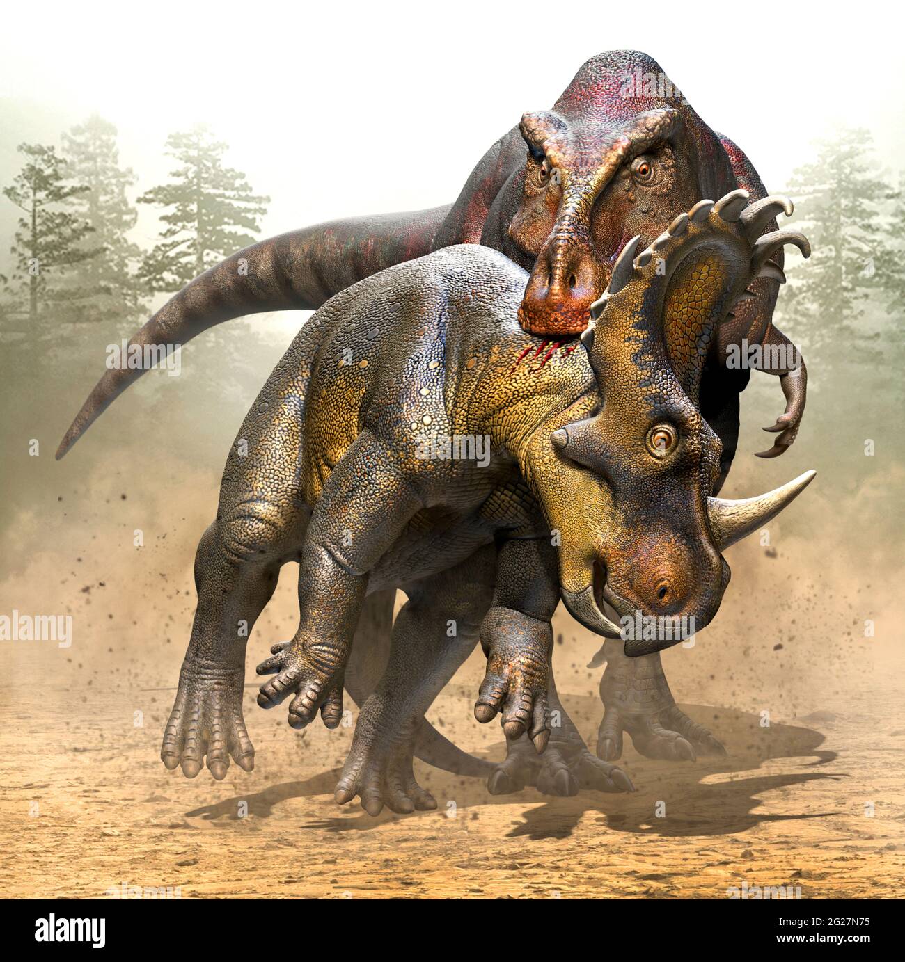 Zhuchengtyrannus a caccia di un Sinoceratops. Foto Stock