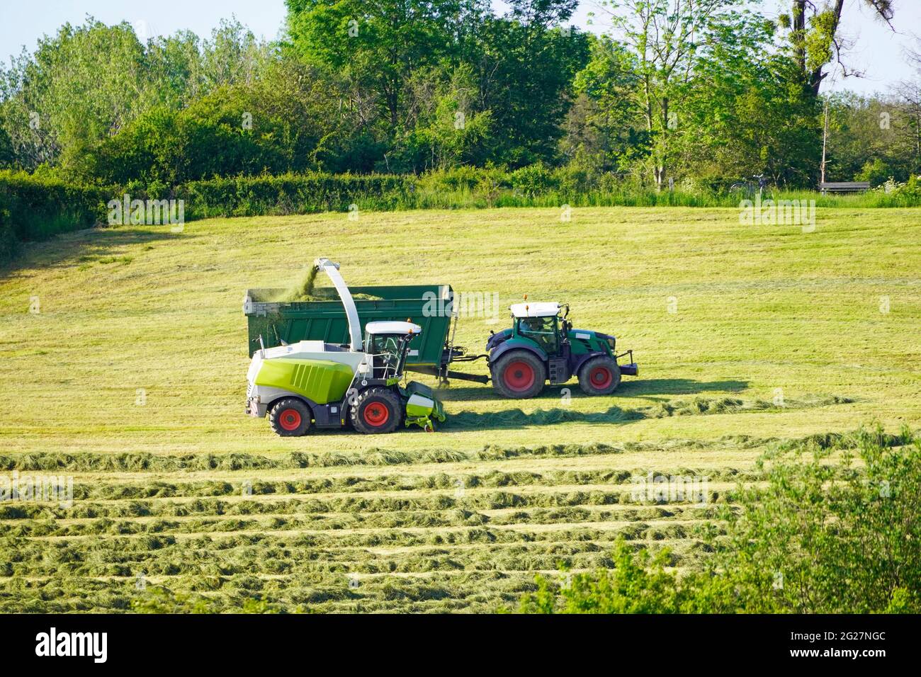 Due veicoli agricoli che raccolgono il fieno. Raccolta fieno per insilato. Paesaggio verde collinare. Foto Stock