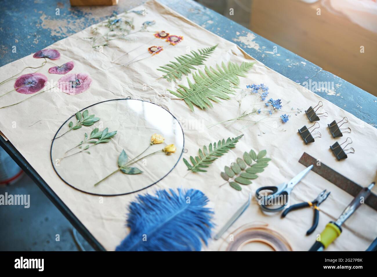 Erbario di varie piante e fiori su foglio di carta Foto Stock