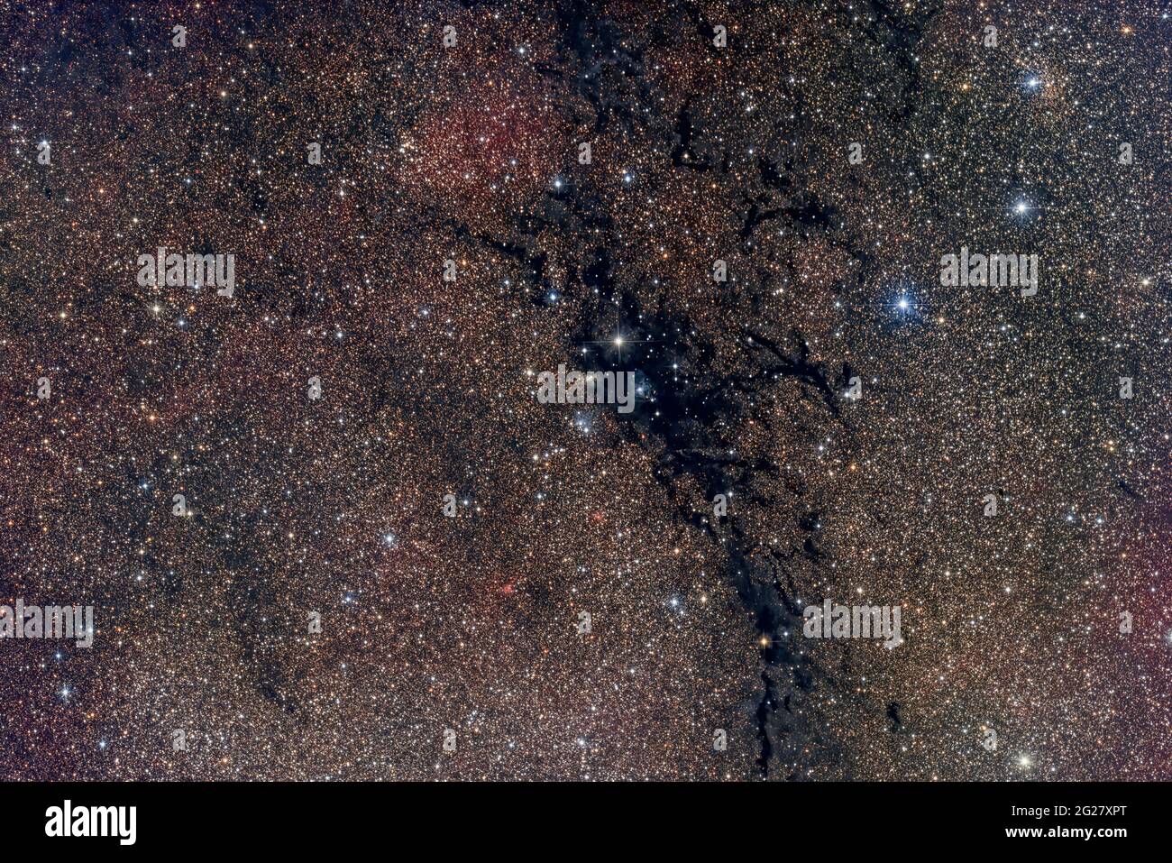 LDN 988, nebulosa scura in Cygnus. Foto Stock