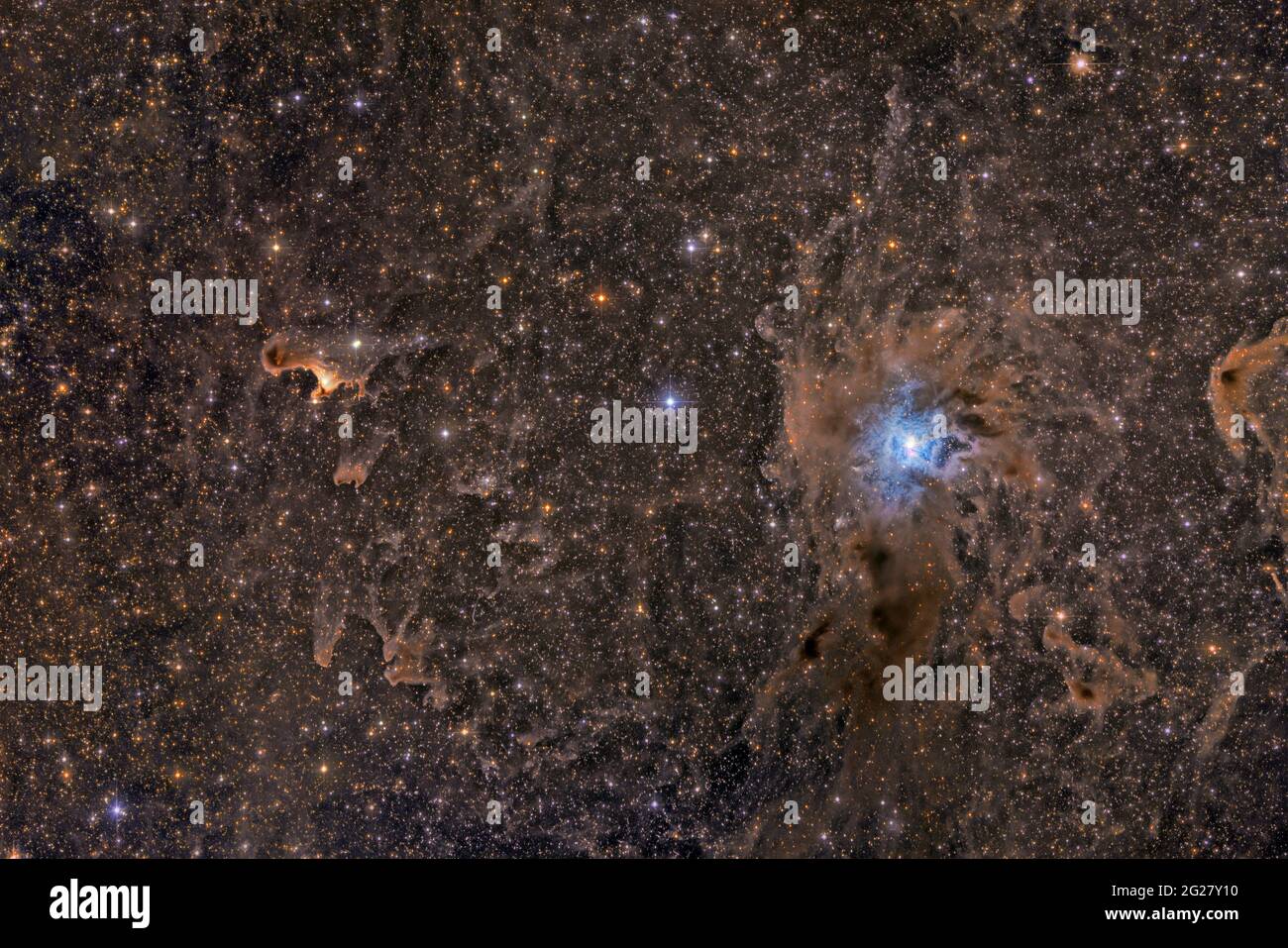 Iris Nebula NGC 7023 e Ghost Nebula VdB 141. Foto Stock
