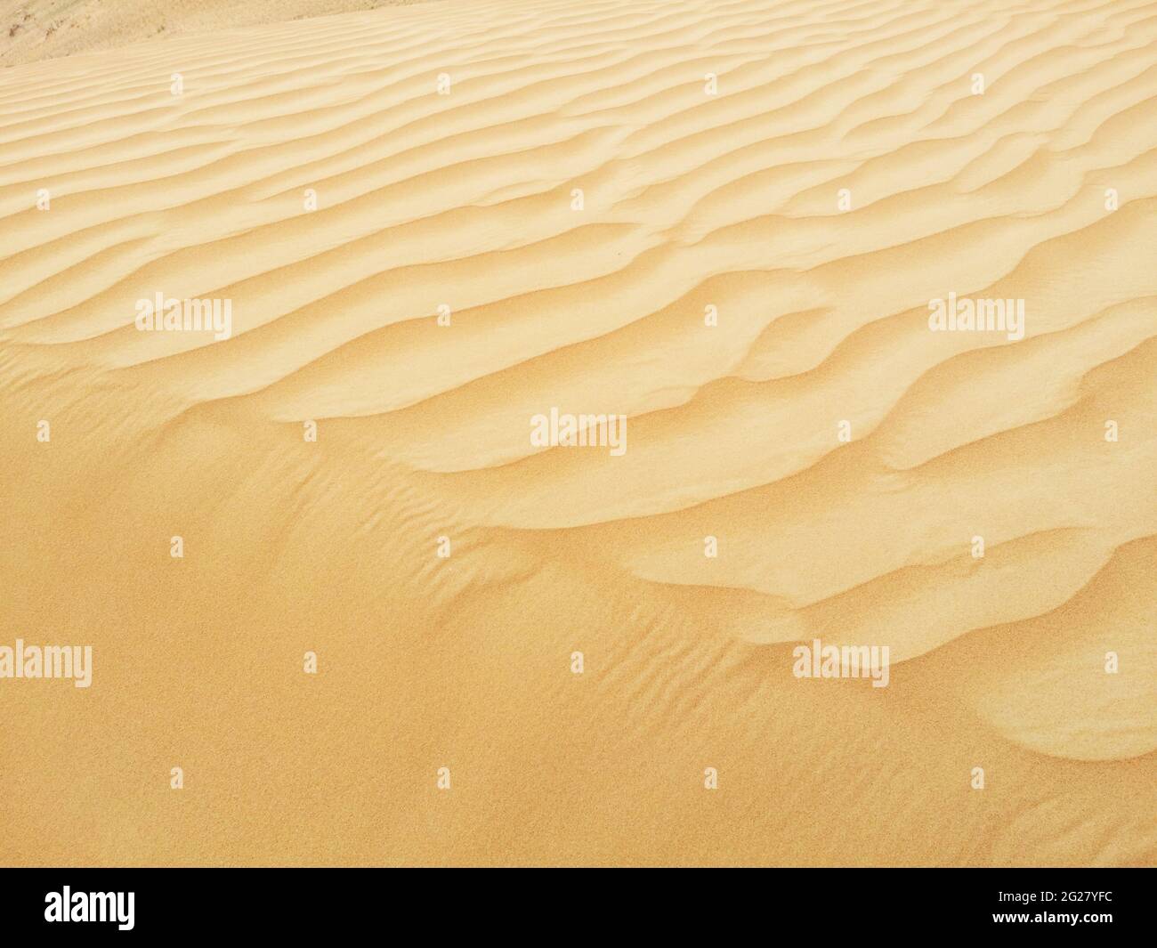 Great Sahara Desert Dunes Sand Sea Foto Stock