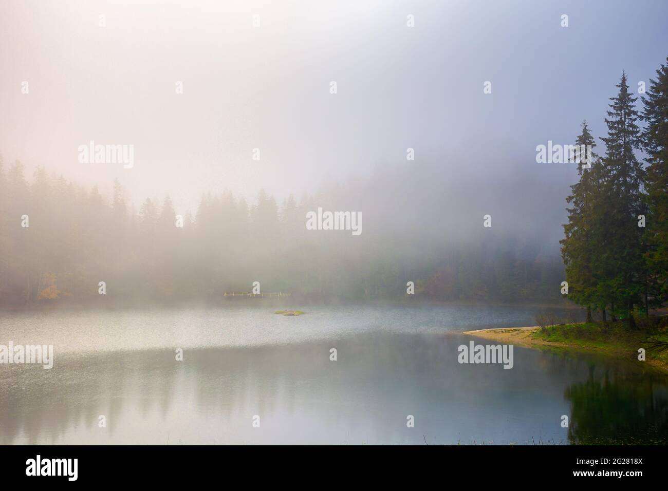 panorama mattutino foggoso sul lago. bella natura del parco nazionale synevyr in autunno. abeti foresta sulla riva che si riflette in acqua Foto Stock