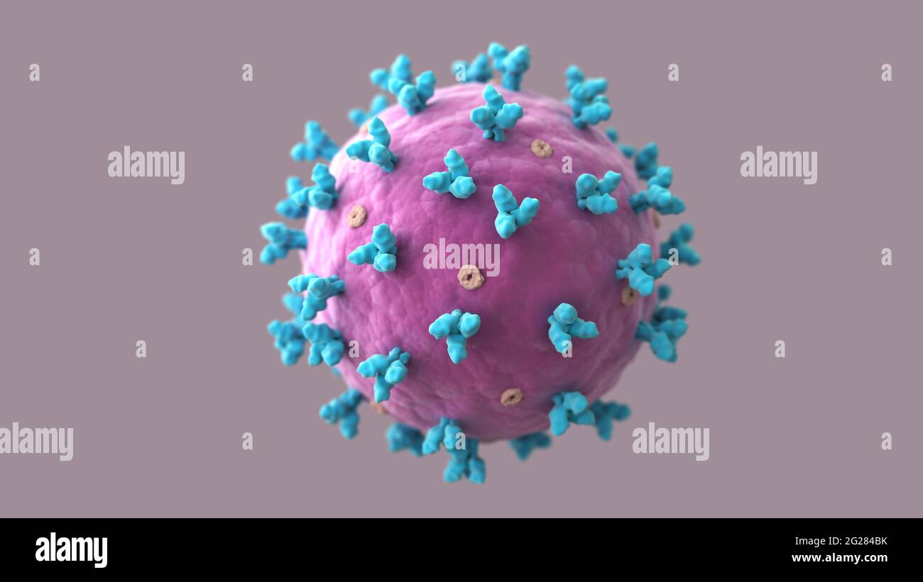 Illustrazione biomedica di un virus lassa. Foto Stock