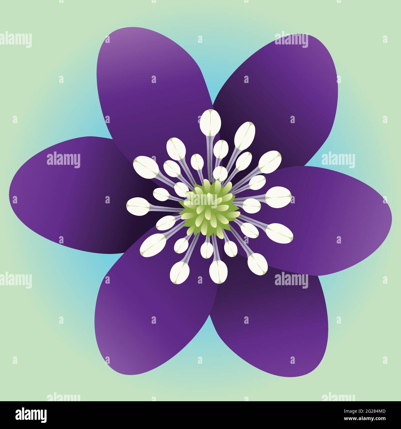 Un unico fiore viola con sei petali e uno sfondo blu verde sfumato. Illustrazione Vettoriale