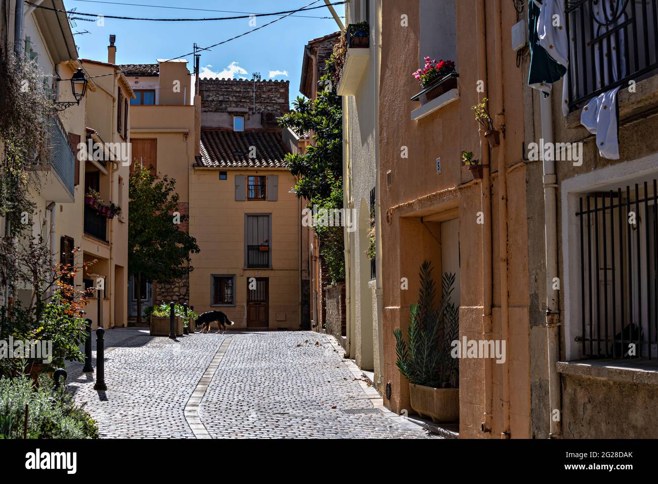Elne, Pirenei Orientali, Francia. Foto Stock