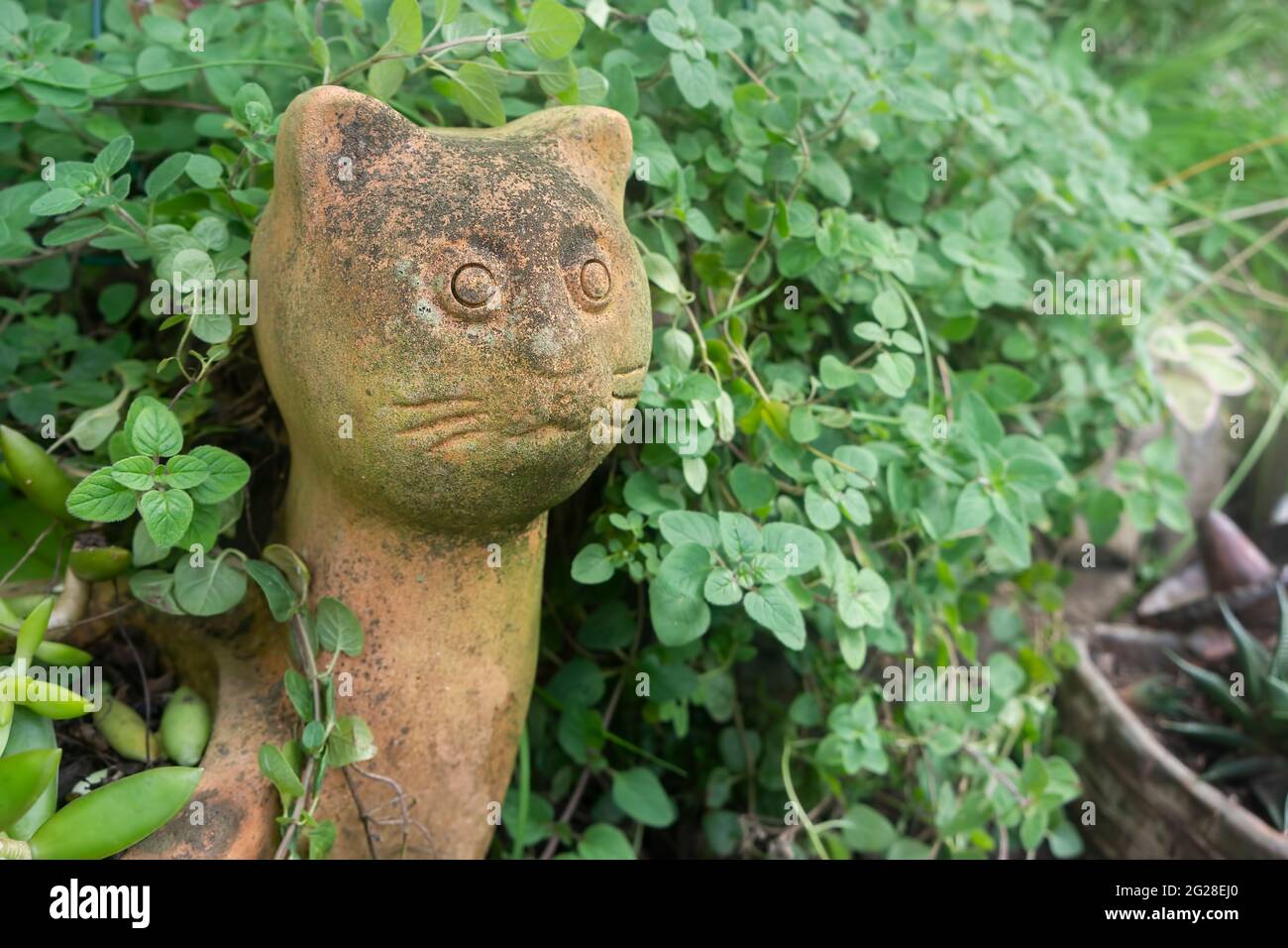 Una piantatrice in terracotta in forma di gatto nel giardino delle erbe con origano che aggiunge interesse con fuoco selettivo. Foto Stock