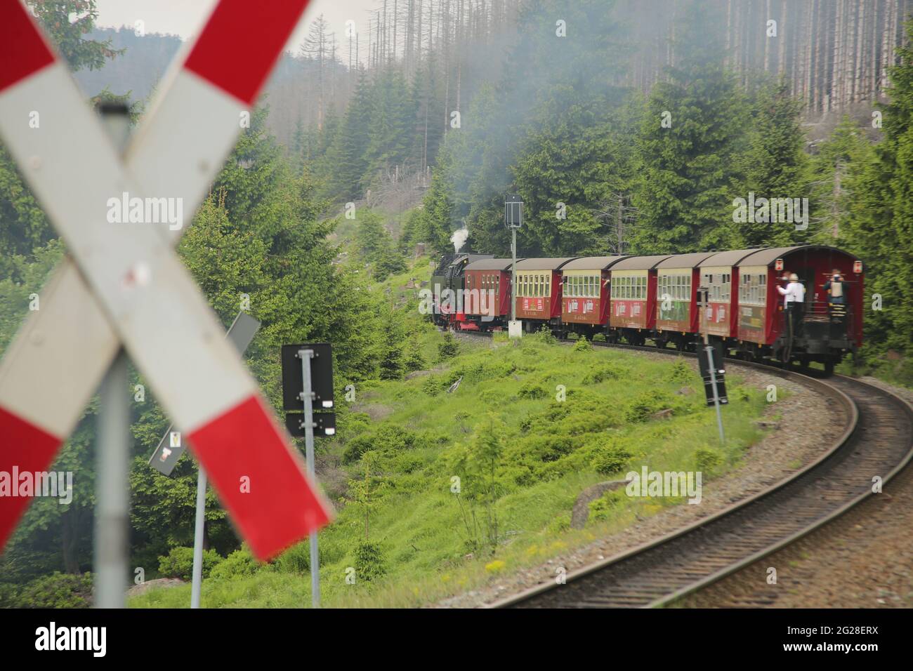 Schierke, Germania. 09 giugno 2021. Un treno dell'Harzer Schmalspurbahnen HSB è sulla sua strada per il Brocken. Per la prima volta dopo una pausa di sette mesi, un treno dell'HSB è andato oggi al Brocken. Il regolare servizio ferroviario su tutte le linee HSB è stato sospeso nel novembre 2020 a causa della pandemia di Corona. Da oggi in poi, i treni a vapore ogni giorno tornano al Brocken. Credit: Matrhias Bein/dpa-Zentralbild/dpa/Alamy Live News Foto Stock