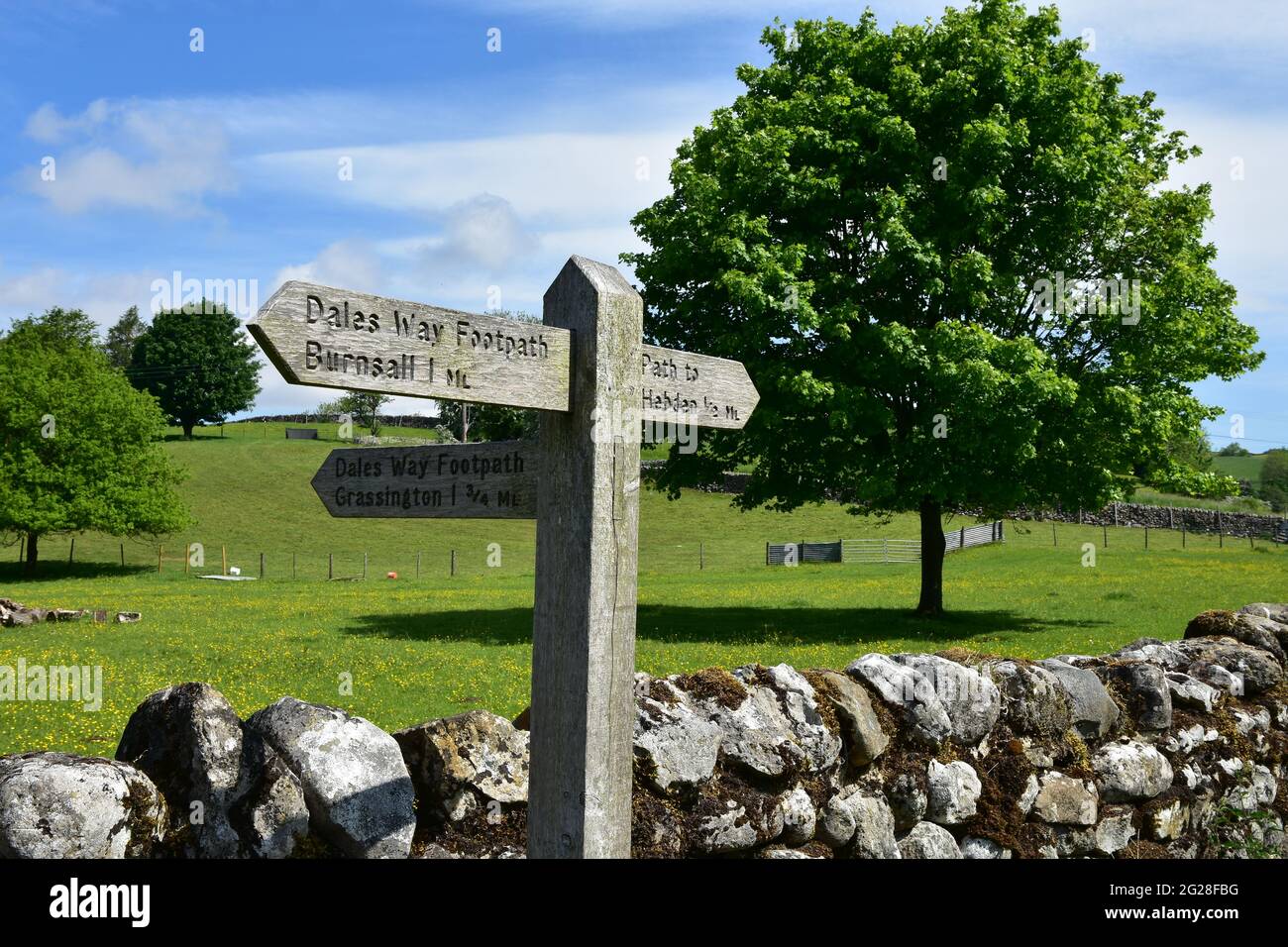 Way Sign sulla Dales Way tra Burnsall e Grassington, Yorkshire Dales Foto Stock