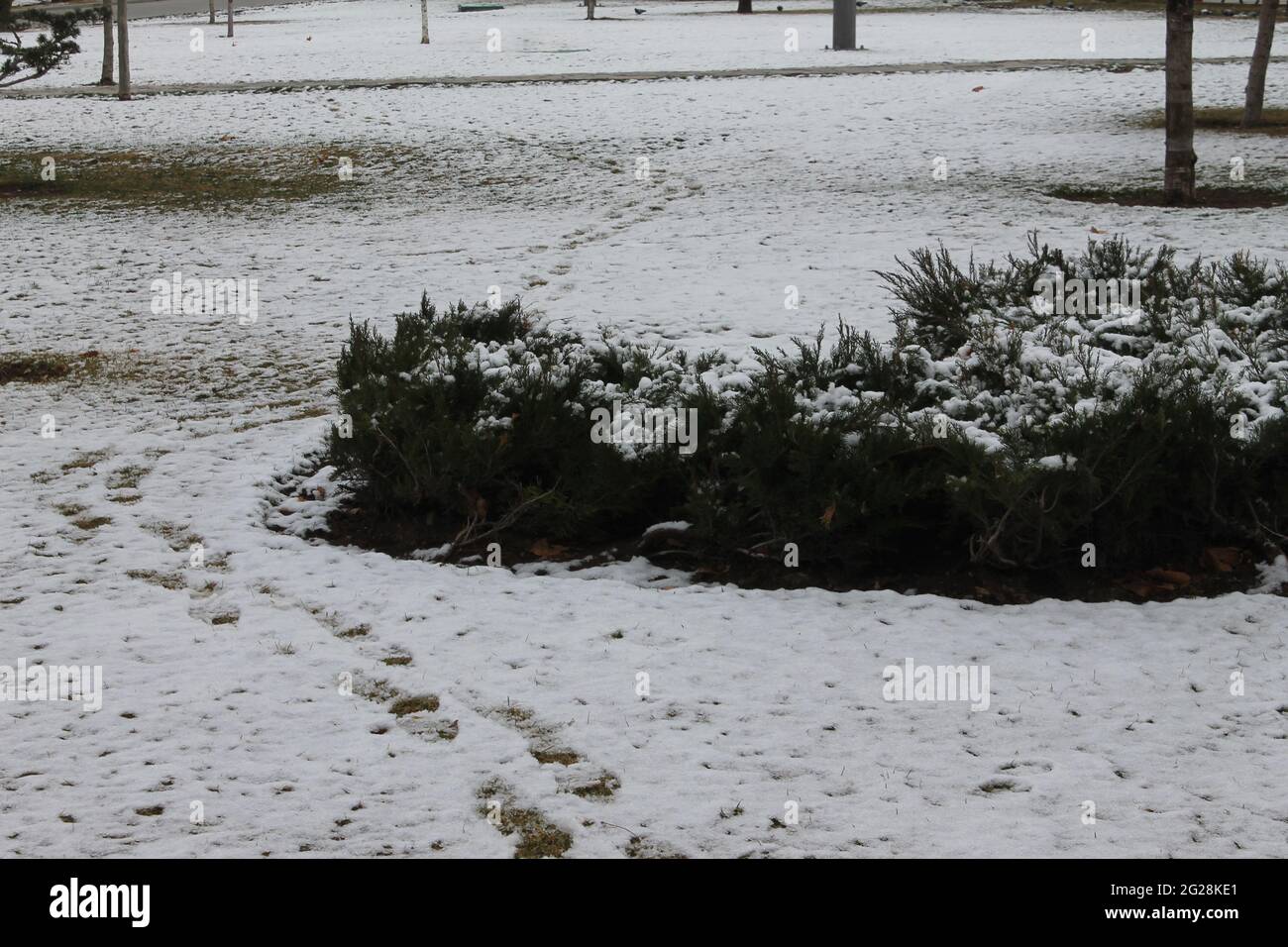 Orme nella neve Foto Stock