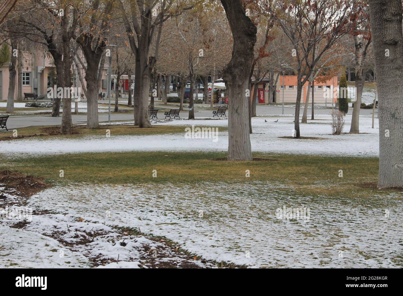 Orme nella neve Foto Stock