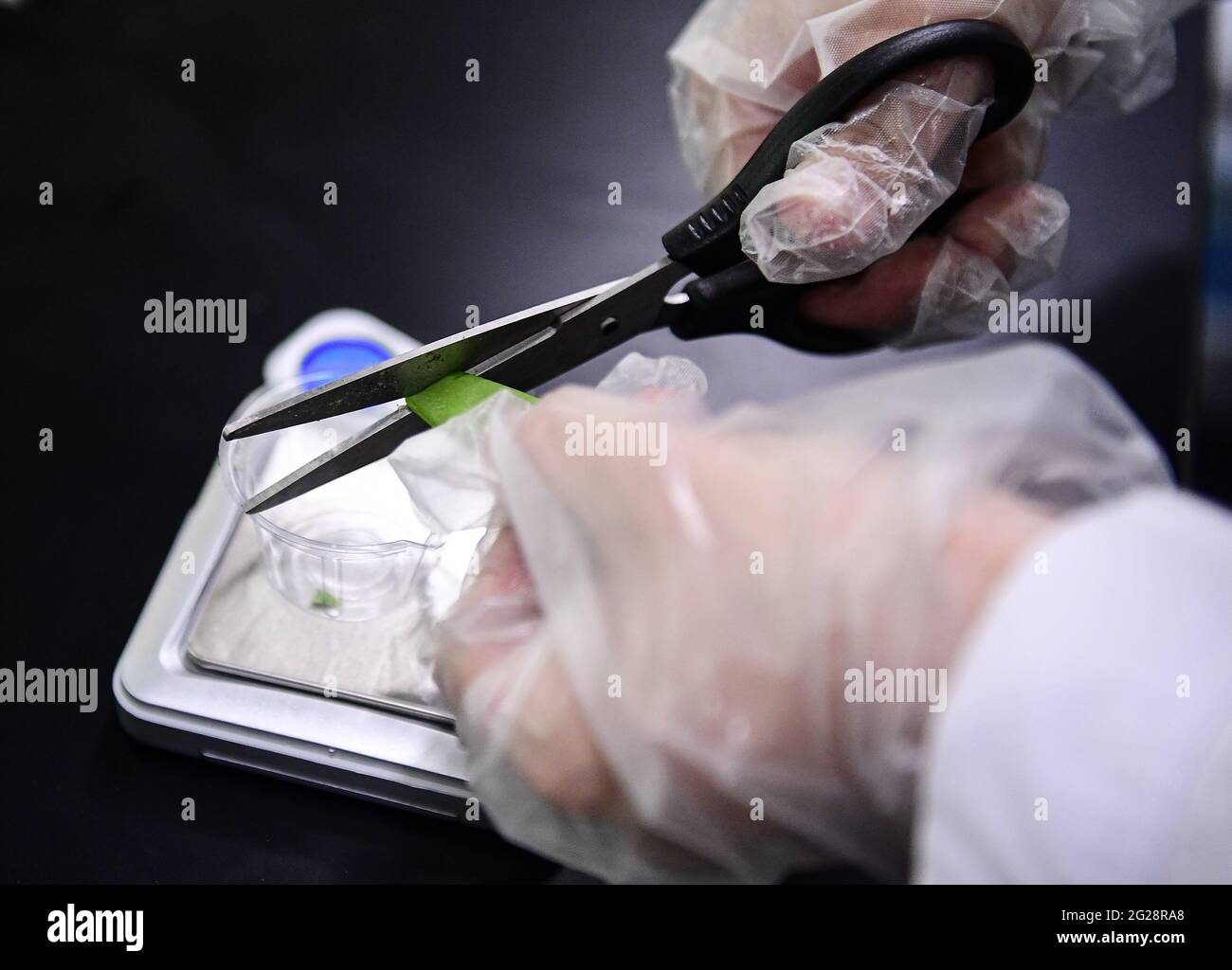 Shenyang, Shenyang, Cina. 9 Giugno 2021. 9 giugno 2021, Shenyang, Liaoning, al fine di garantire la sicurezza alimentare durante l'esame di ingresso all'università e di impedire che alimenti non qualificati fluiscano sul tavolo, i dipartimenti competenti di Shenyang svolgono pienamente il ruolo di ispezione e screening rapido degli alimenti; E utilizza attivamente la tecnologia di ispezione rapida per servire i servizi di catering di grandi, medie e piccole dimensioni intorno al sito di esame dell'ingresso dell'università. L'unità ha effettuato campionamenti e test in loco per garantire la salute e la sicurezza della vita dei candidati. Credit: SIPA Asia/ZUMA Wire/Alamy Live News Foto Stock