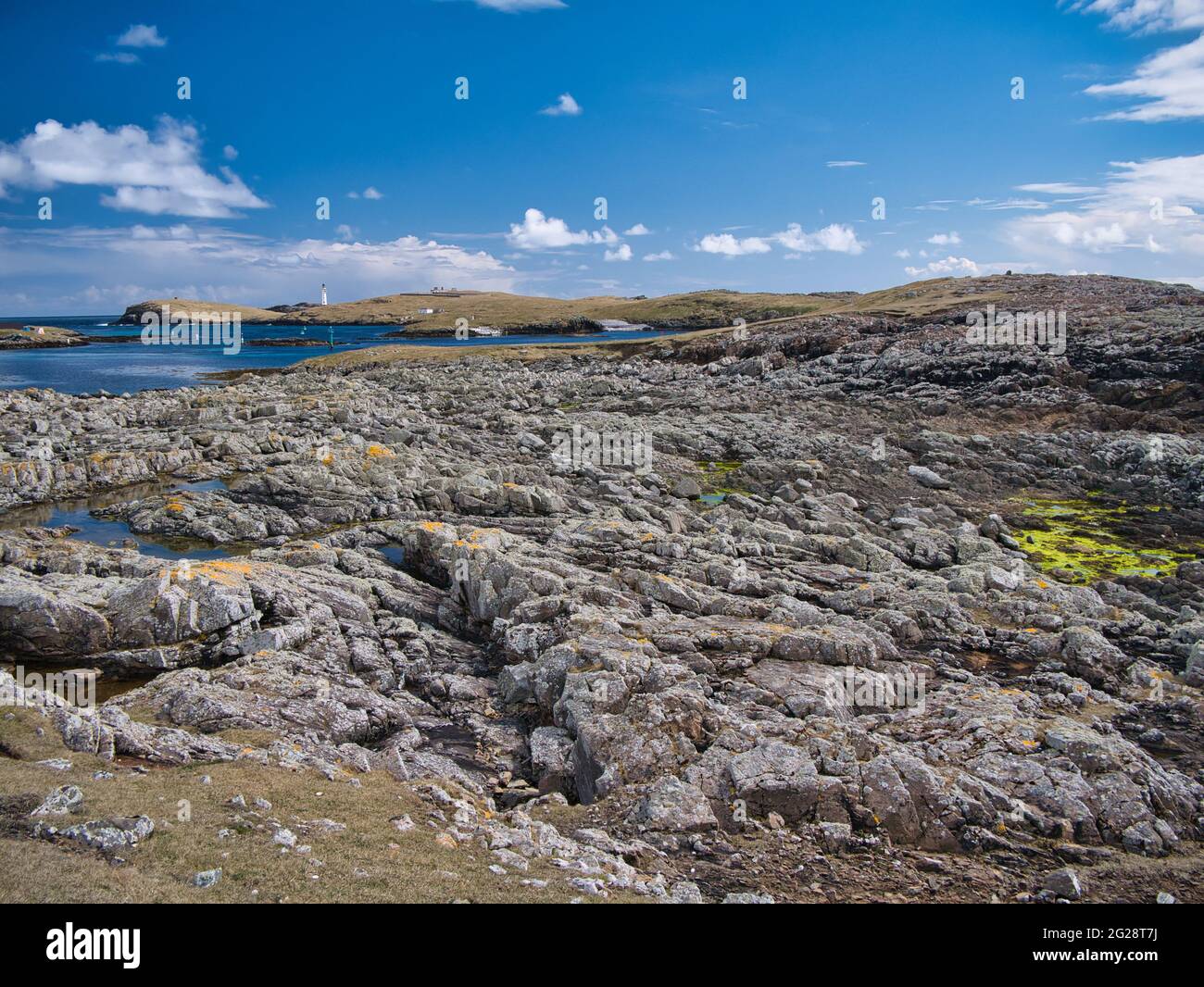A sud-est dell'isola di Housay su Skerries, Shetland, Regno Unito, metallo grigio chiaro della bianchezza 'division' - bedrock metamorfico Foto Stock