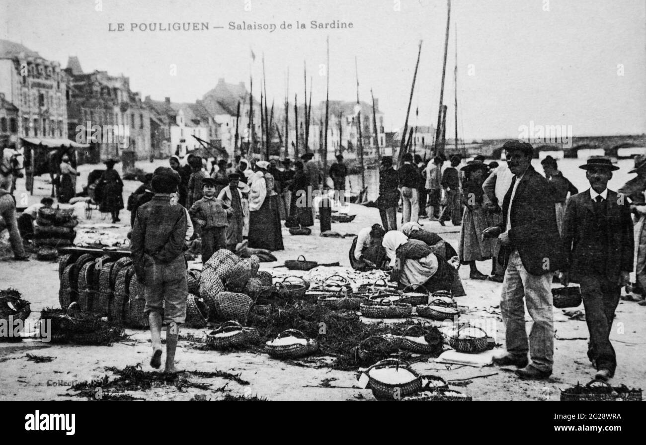 le pouliguen, salaison de la sardine, carte postale 1900 Foto Stock