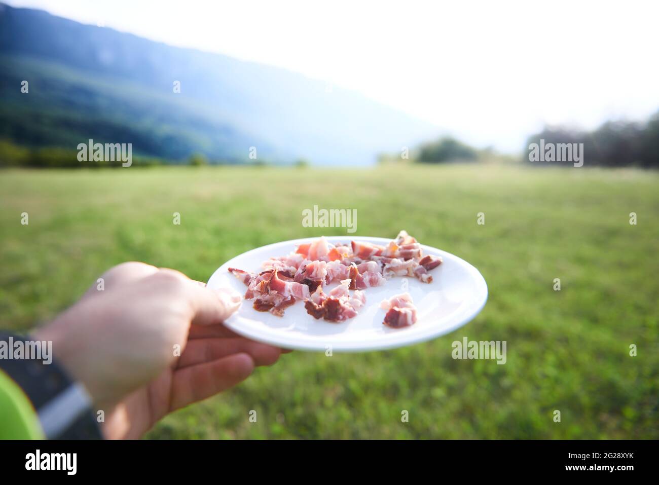 Pancetta tagliata di fresco in campagna preparata per il picnic in natura Foto Stock