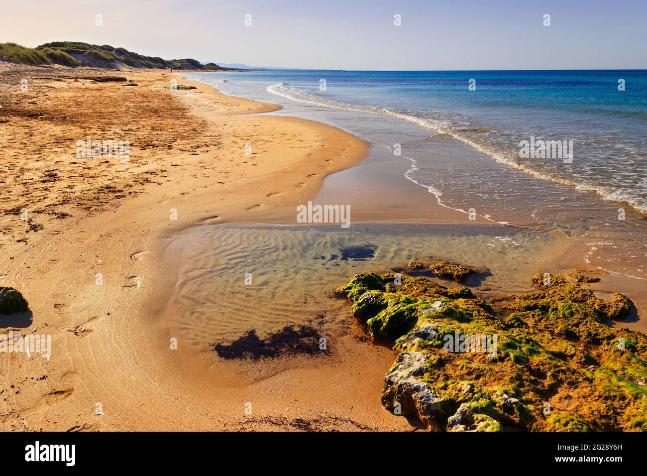 Il Parco Naturale Regionale delle Dune Costiere (Torre Canne): Recinzione tra le dune di mare, Puglia (Italia). Foto Stock
