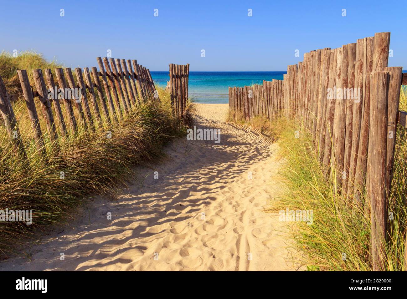 Il Parco Naturale Regionale delle Dune Costiere (Torre Canne): Recinzione tra le dune di mare, Puglia (Italia). Foto Stock
