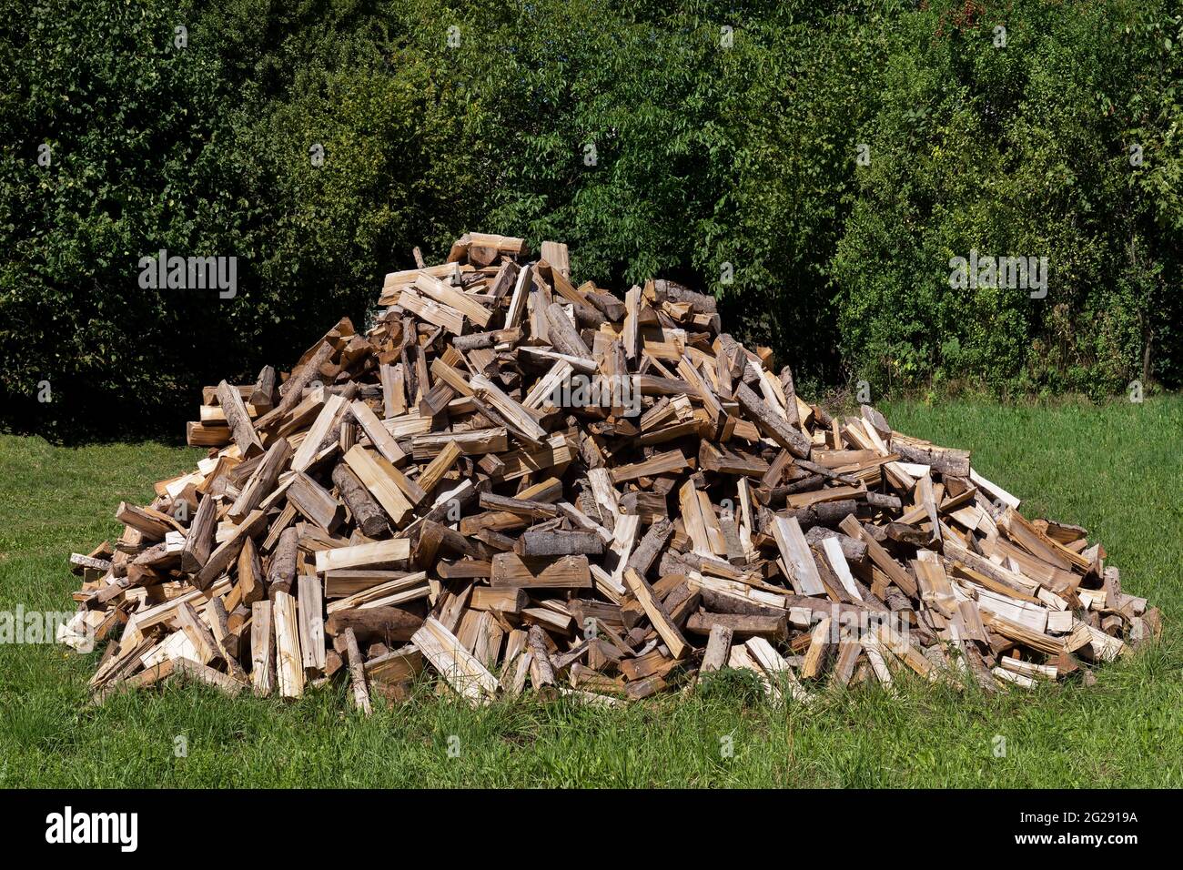 Mucchio grande di legna da ardere in un prato Foto Stock