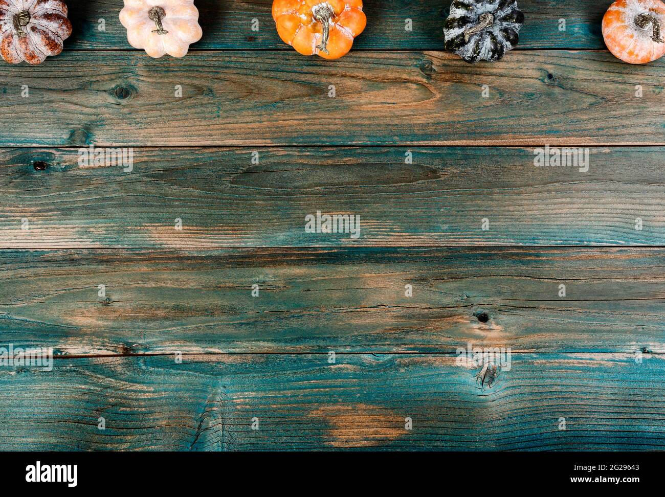 Sfondo autunnale per il Ringraziamento o la stagione delle festività di Halloween Foto Stock