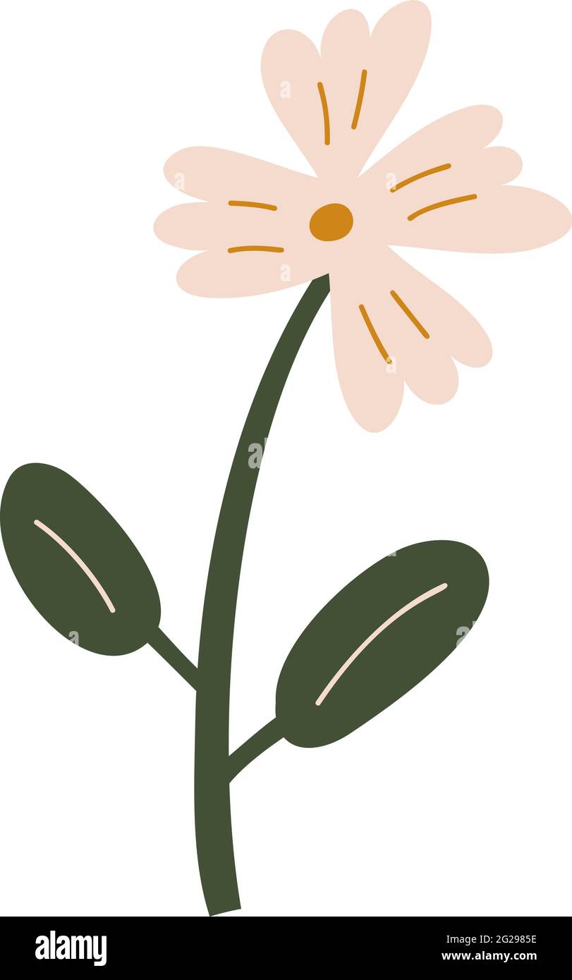 Fiore vettoriale stilizzato disegnato a mano. Elemento d'illustrazione della molla scandinava. Immagine floreale estiva decorativa per il saluto di San Valentino o poster Illustrazione Vettoriale