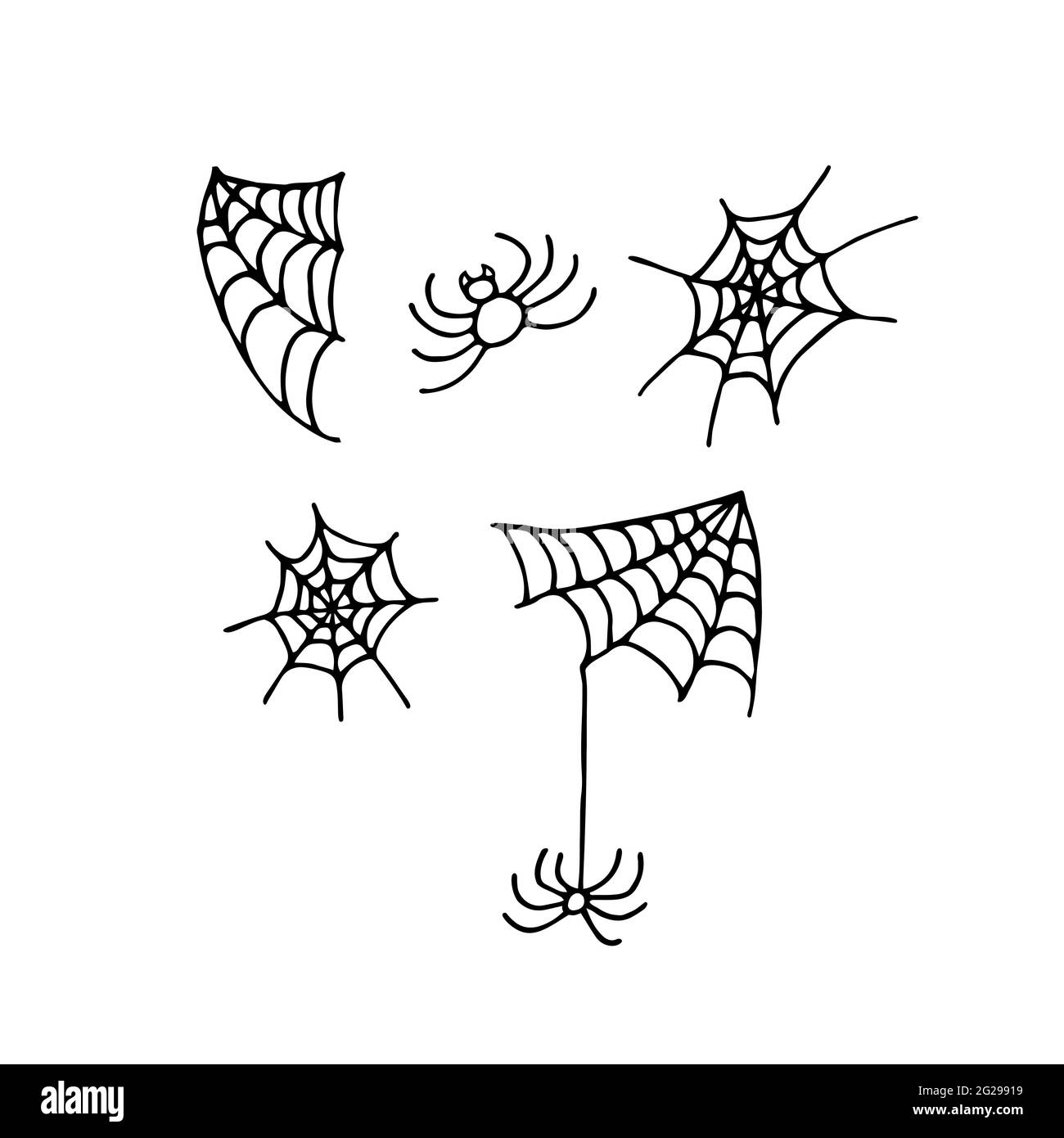 Doodle Spiderweb e ragno insieme. Cobweb nero disegnato a mano isolato su sfondo bianco. Spaventoso segno carino. Illustrazione vettoriale per il disegno della caduta, h Illustrazione Vettoriale