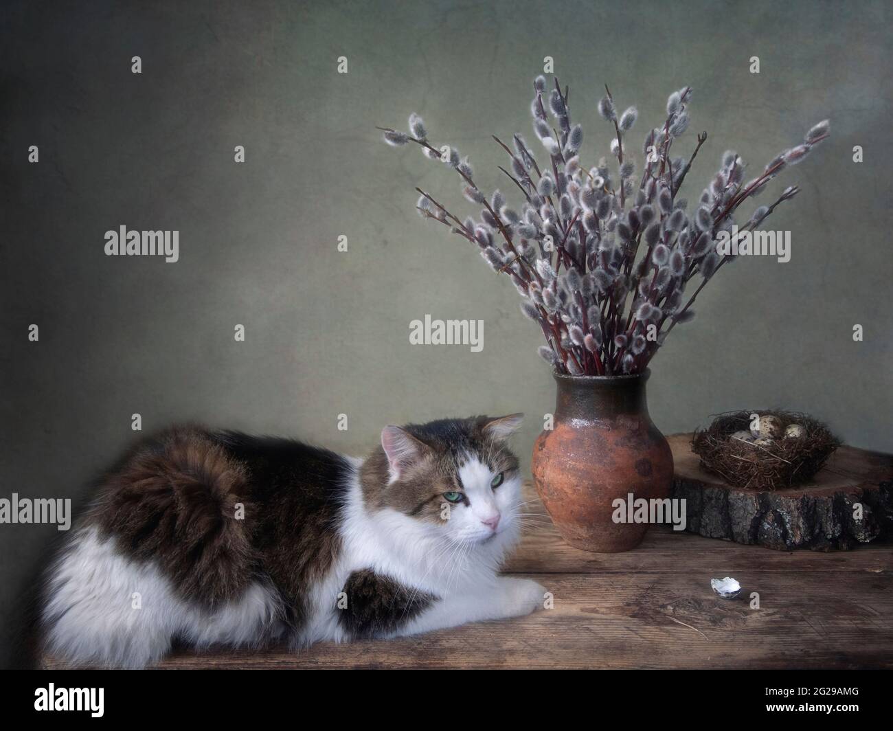 Adorabile gatto sdraiato su un tavolo e rami salici della primavera Foto Stock