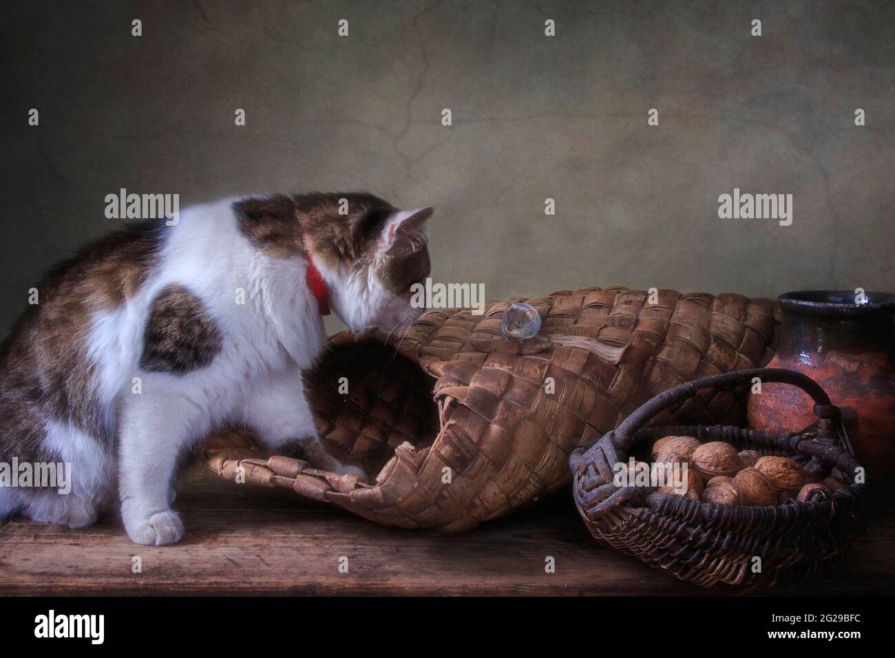 Macchiato gatto e piccolo topo nella vecchia dispensa Foto Stock