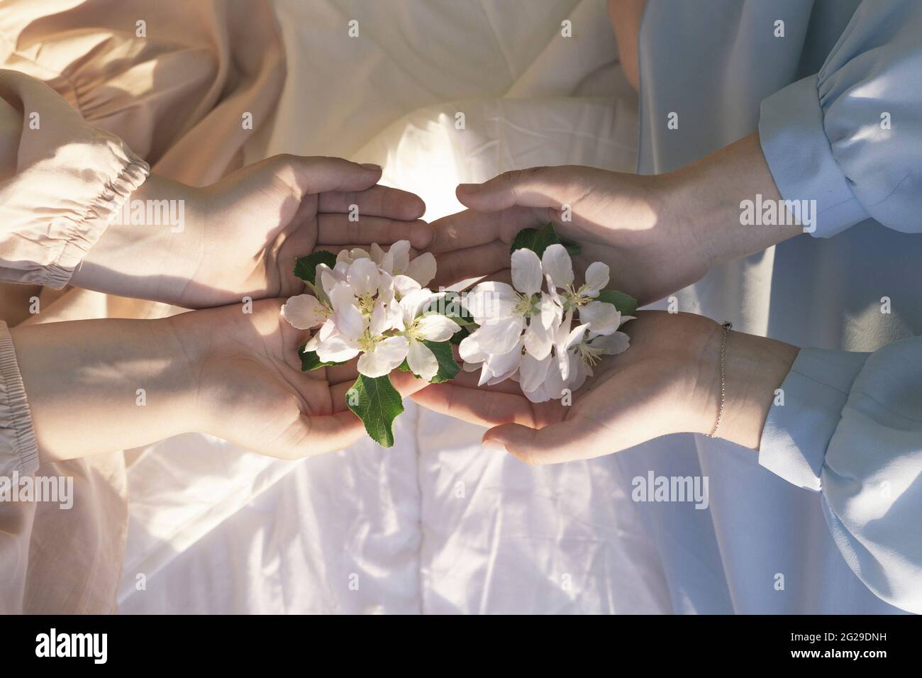 Primo piano di fiori nelle mani degli adolescenti seduti sul letto Foto Stock