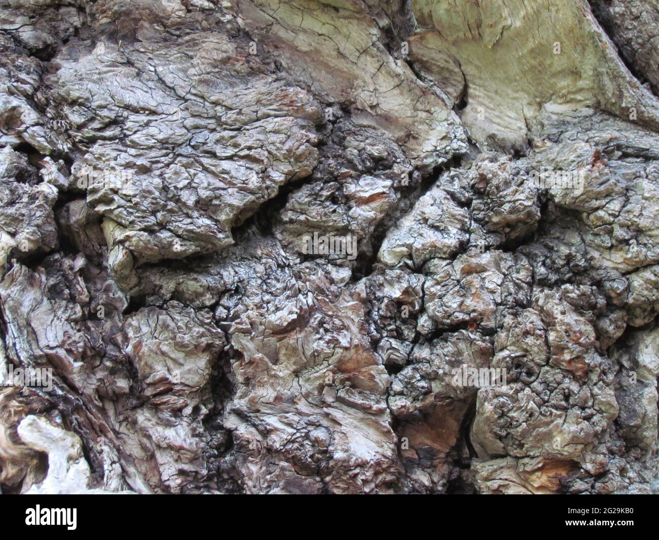 Struttura in pietra naturale, primo piano di una superficie rocciosa Foto Stock