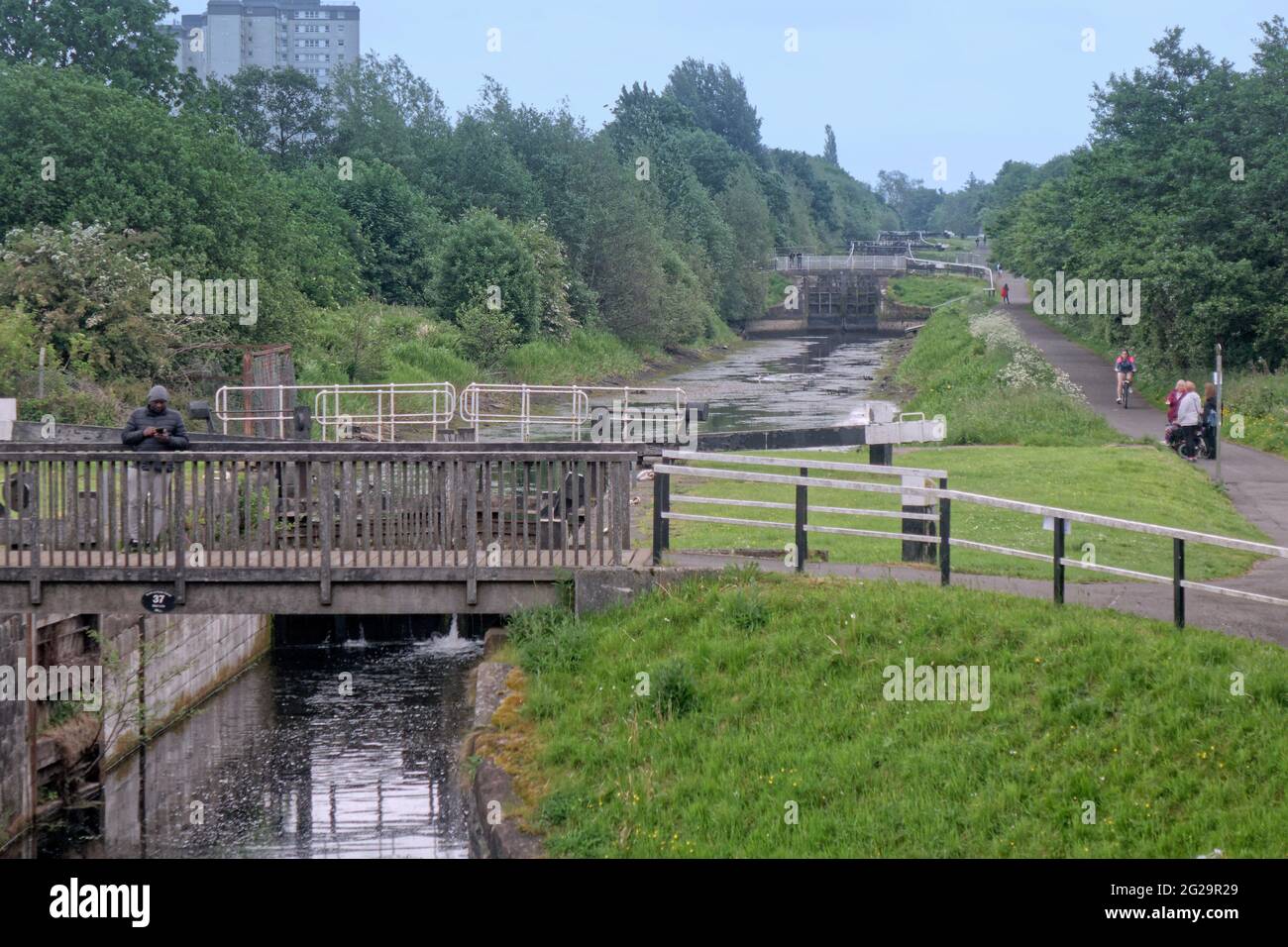 Glasgow, Scozia, Regno Unito, 9 giugno 2021. I canali Svotish hanno twittato "a causa di un problema di terze parti con il gasdotto Monkland che alimenta la rete idrica di ForthandClydeCanal, l'approvvigionamento idrico sul canale è attualmente basso. Tutta la navigazione lungo il corso d'acqua è attualmente sospesa". AZ confusa fauna selvatica e cracking canali bacini fornire una vista insolita per gli spettatori sul towpath.Copyright Gerard Ferry/Alamy Live News Foto Stock