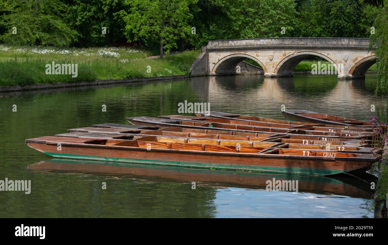Bastoni di legno vuoti sono ormeggiati sulla riva del fiume Cam a Cambridge. Sullo sfondo c'è il ponte della Trinità: Non ci sono persone nell'immagine Foto Stock