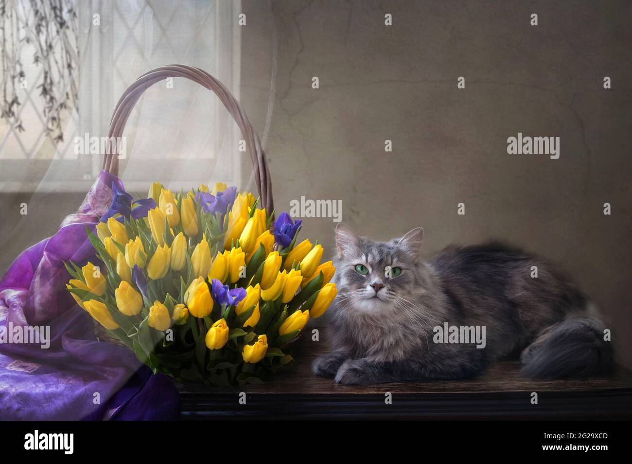 La natura morta floreale con il grazioso gattino grigio Foto Stock