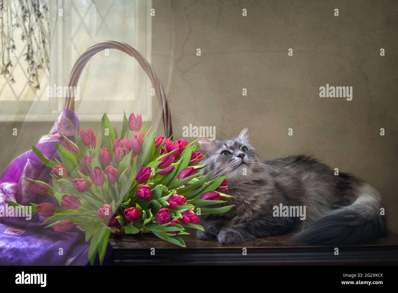 La natura morta floreale con il grazioso gattino grigio Foto Stock