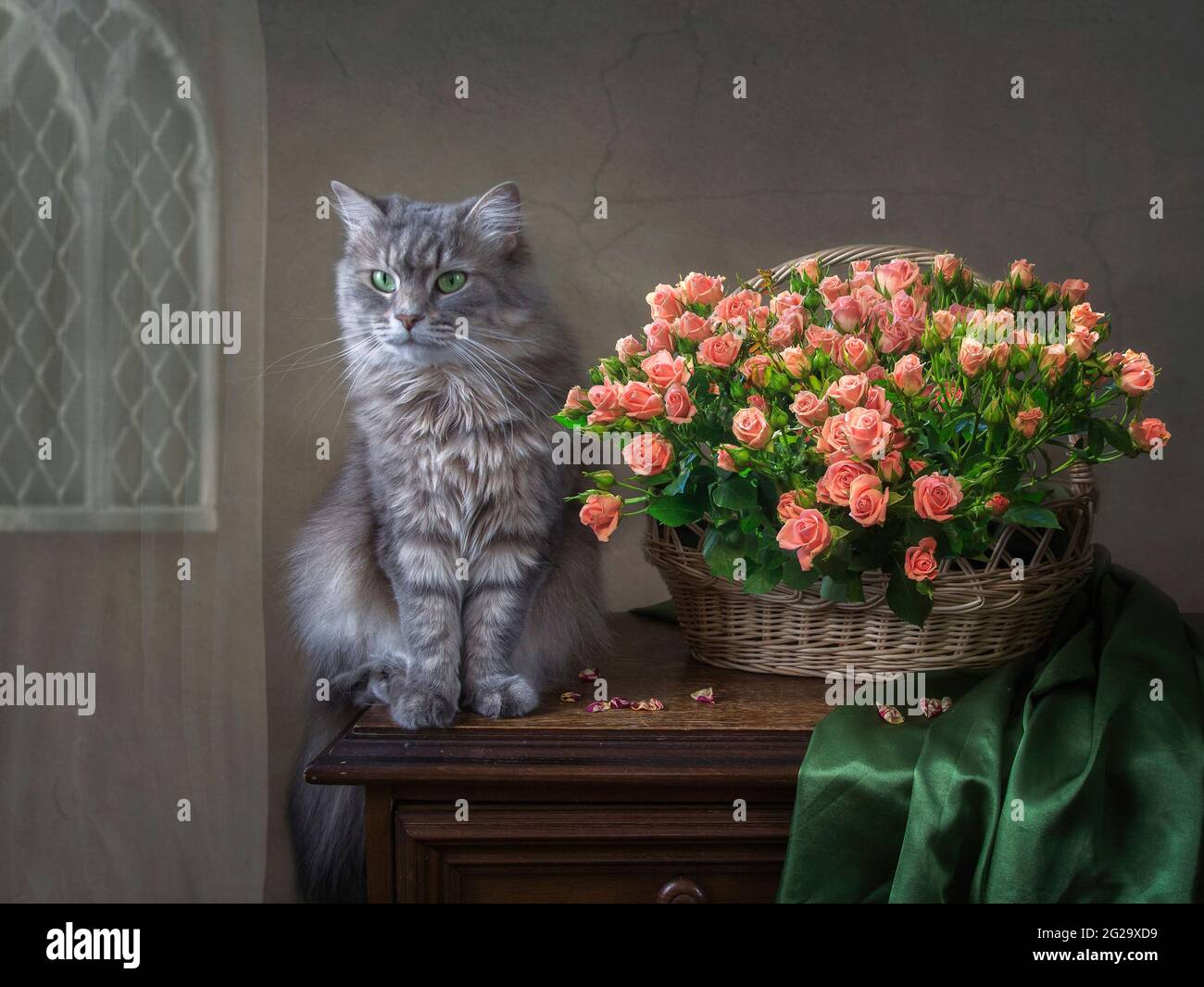La natura morta floreale con il grazioso gattino grigio Foto Stock