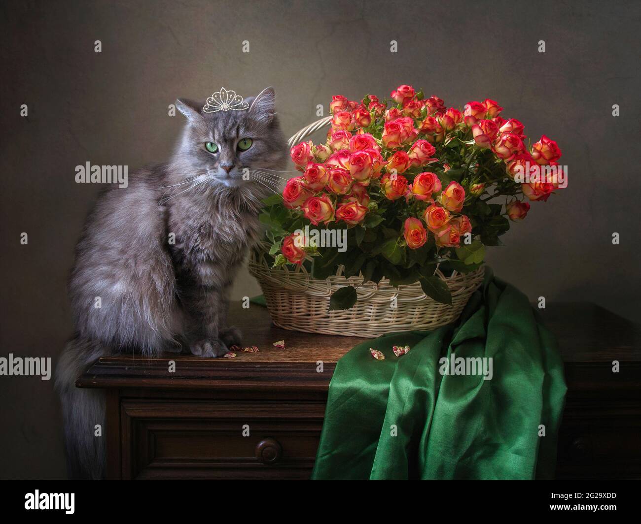 La natura morta floreale con il grazioso gattino grigio Foto Stock